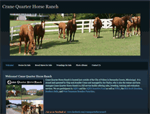 Tablet Screenshot of cranequarterhorses.com